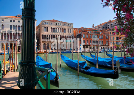 Gondoles amarré le long du Grand Canal - Venise Vénétie Italie Banque D'Images