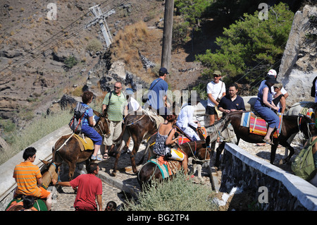 Les touristes provenant de navires de croisière, école d'ânes et de mules sur la route de la ville de Fira, Santorini Island, Grèce Banque D'Images