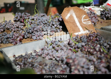 Grappes fraîches de raisins violets à vendre sur un étal de marché en Espagne, Europe, 1 Euro signe / Vitis vinifera Banque D'Images