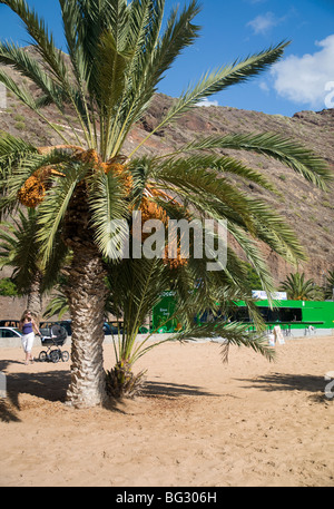 Playa de Las Teresitas, sur la plage de Tenerife, Canaries, Espagne Banque D'Images