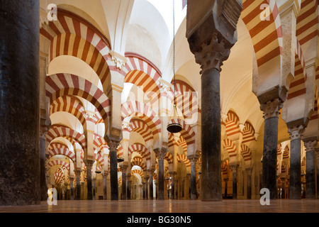 Arcades de salle de prière, la Grande Mosquée de Cordoue, Andalousie, Espagne Banque D'Images