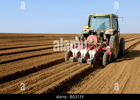 Israël, désert du Néguev, graines de plantes du tracteur dans un champ Banque D'Images