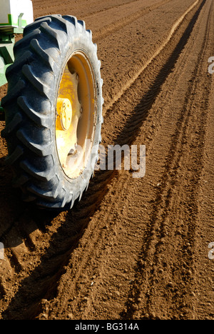 Israël, désert du Néguev, graines de plantes du tracteur dans un champ Banque D'Images