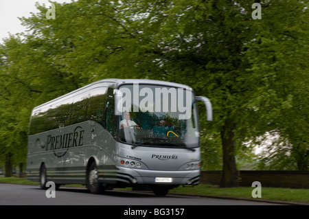 Voiture grise sur la route bordée d'arbres Banque D'Images