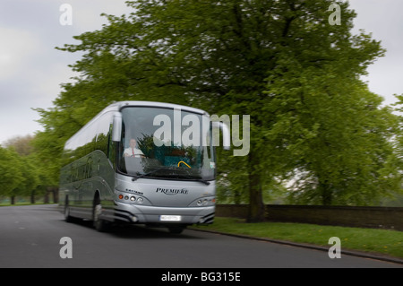 Voiture grise sur la route bordée d'arbres Banque D'Images