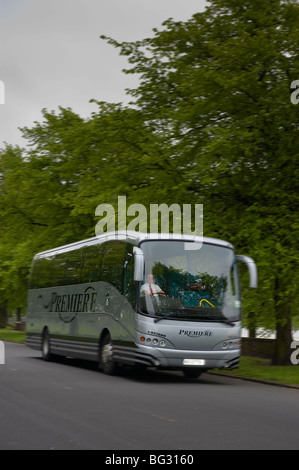 Voiture grise sur la route bordée d'arbres Banque D'Images