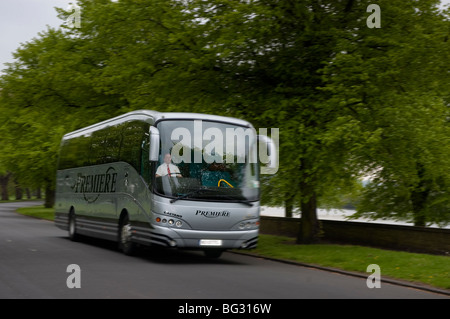 Voiture grise sur la route bordée d'arbres Banque D'Images