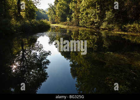 Reflets dans les eaux calmes de la rivière Bradford à Youlgrave dans le parc national de Peak District, Derbyshire. Banque D'Images