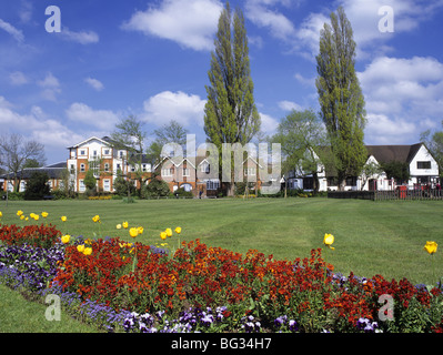 Farnham Surrey England UK. Dans Gostrey parterres au printemps Meadow Banque D'Images