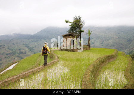 Trekker dans les rizières en terrasses, Yuanyang, Yunnan Province, China, Asia Banque D'Images