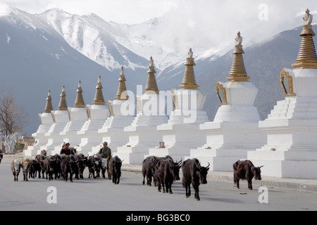 Stupas bouddhistes, Xian de Dêqên, appelé Shangri-La, sur la frontière tibétaine, région de Shangri-La, Yunnan Province, China, Asia Banque D'Images