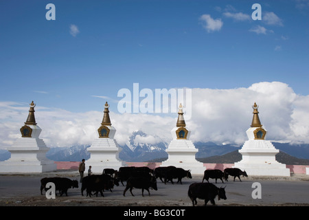 Stupas bouddhistes à Xian de Dêqên, près de la frontière tibétaine, région de Shangri-La, Yunnan Province, China, Asia Banque D'Images