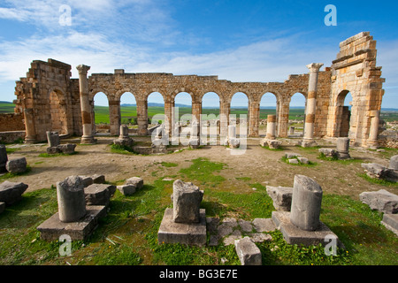 Ruines basilique romaine à Volubilis au Maroc Banque D'Images