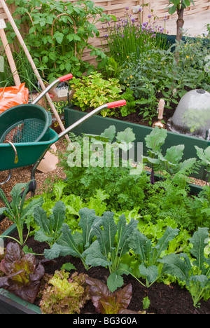 Potager, brouette, plantes, des lits surélevés, des outils de jardinage, un mélange de cultures alimentaires dans l'arrière-cour Banque D'Images