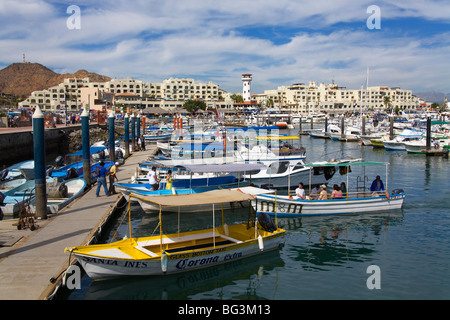 Marina, Cabo San Lucas, Baja California, Mexique, Amérique du Nord Banque D'Images