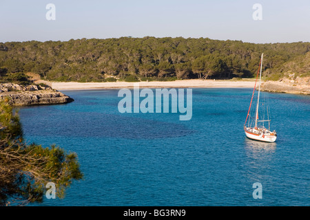 Cala Mondrago parc naturel, Santanyi, Majorque, Iles Baléares, Espagne, Méditerranée, Europe Banque D'Images