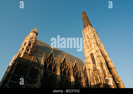 Stephansdom, Wien, Österreich | la cathédrale St Stephen, Vienne, Autriche Banque D'Images