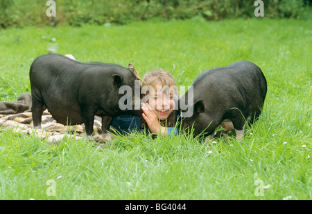 Fille avec deux cochons miniatures on meadow Banque D'Images