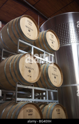 L'Argentine, la Province de Mendoza, Lujan de Cuyo, Bodegas Norton Winery, fûts de vin Banque D'Images