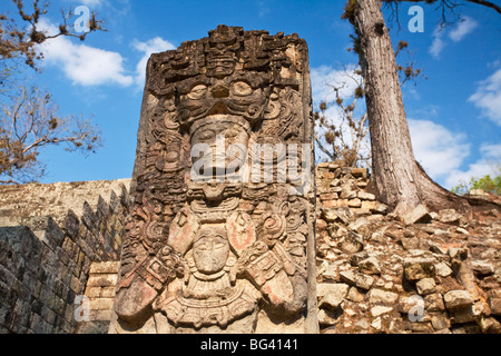 Le Honduras, Copan Ruinas, ruines de Copan, cour de l'Ouest, Stela P Banque D'Images