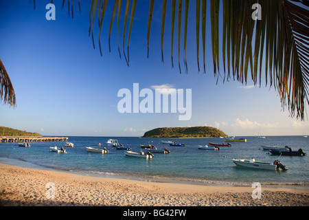 Puerto Rico, l'île de Vieques, Esperanza Bay Banque D'Images