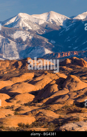 USA, Utah, Arches National Park, La Sal Montagnes et dunes pétrifiées Banque D'Images