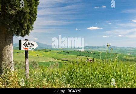 Paysage toscan traditionnel près de San Quirico, Valle de Orcia, Toscane, Italie Banque D'Images