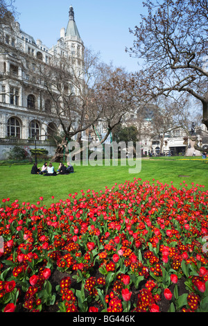 Angleterre, London, Victoria Embankment Gardens, fleurs de printemps Banque D'Images