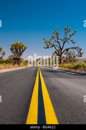 États-unis, Californie, Joshua Tree National Park Banque D'Images