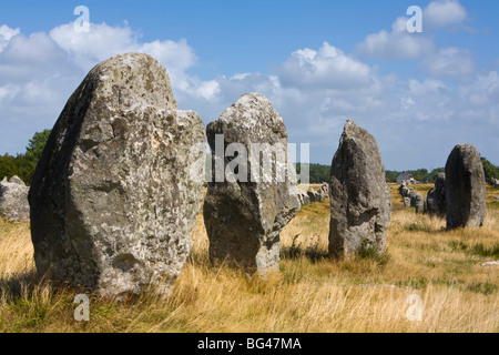 Alignements de Kerlescan, Carnac, Bretagne, France Banque D'Images