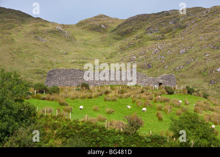 Fort Staigue, Iveragh, l'Anneau du Kerry, Irlande Banque D'Images