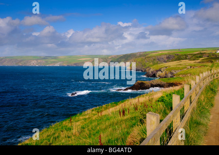 Royaume-uni, Angleterre, Cornouailles, port Isaac, chemin côtier du sud-ouest Banque D'Images