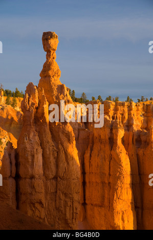 USA, Utah, le Parc National de Bryce Canyon, Thors Hammer près de Sunset Point Banque D'Images