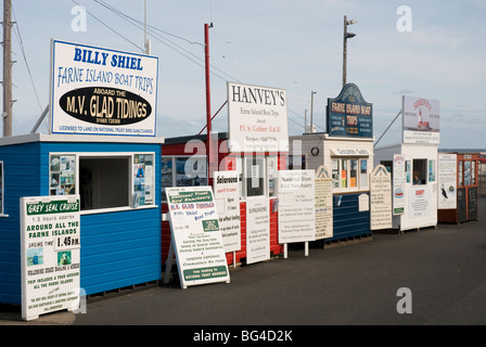 Une ligne de bateau l'île de Farne bureaux de réservation en Northumbrie Seahouses England UK Banque D'Images