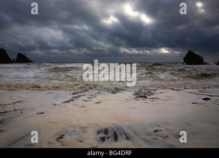 Stormy Ballydowane Cove, le Copper Coast, comté de Waterford, Irlande Banque D'Images