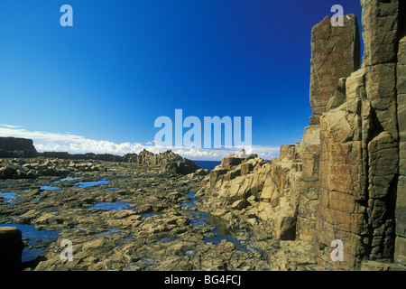 Structures colonnaires, créé lors du refroidissement de la lave basaltique, près de la plage de Bombo, Kiama, côte sud, New South Wales, Australie Banque D'Images