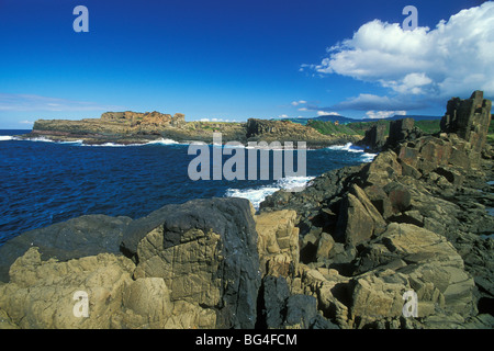 Structures colonnaires, créé lors du refroidissement de la lave basaltique, près de la plage de Bombo, Kiama, côte sud, New South Wales, Australie Banque D'Images