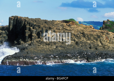 Structures colonnaires, créé lors du refroidissement de la lave basaltique, près de la plage de Bombo, Kiama, côte sud, New South Wales, Australie Banque D'Images