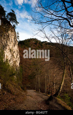 De la vallée de Liptov, Kvacianska, la Slovaquie à la fin de l'automne Banque D'Images