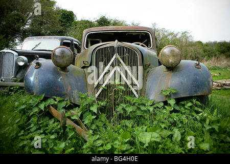 Abandonné voiture Citroen Traction Avant classique Banque D'Images