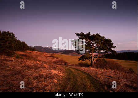 La Slovaquie, Liptov, à la fin de l'automne soir après le coucher du soleil Banque D'Images