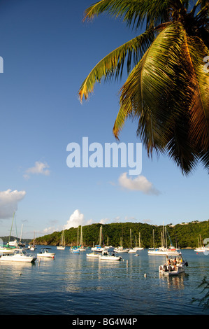 Sur le port de Cruz Bay, Saint John dans les îles Vierges américaines Banque D'Images