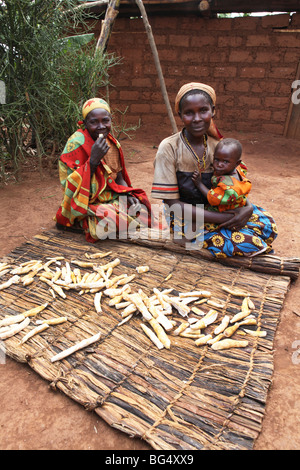 Pendant la guerre au Burundi d'un demi-million de personnes ont fui vers la Tanzanie.Maintenant ils revenir et reconstruire leurs maisons Banque D'Images