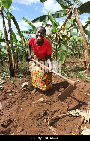 Pendant la guerre au Burundi d'un demi-million de personnes ont fui vers la Tanzanie.Maintenant ils revenir et reconstruire leurs maisons Banque D'Images