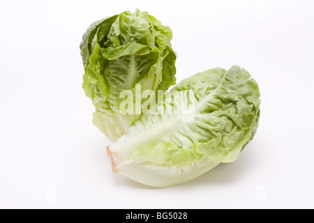 Laitue petit bijou isolés contre fond blanc. Banque D'Images