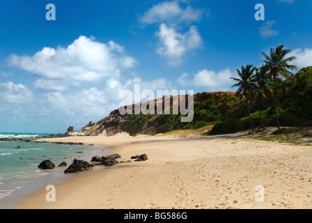 Belle plage avec des palmiers au Praia do Amor près de Pipa Brésil Banque D'Images