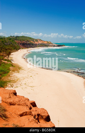 Belle plage avec des palmiers au Praia do Amor près de Pipa Brésil Banque D'Images