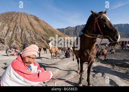Indonesian man à cheval au Mont Bromo, Java, Indonésie Banque D'Images