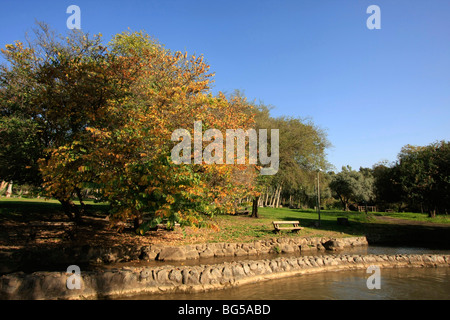 Israël, la Jordan River Park Banque D'Images