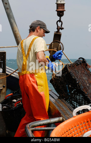 Pêcheur de homard transportant dans un pot, la baie de Cardigan, Wales. Banque D'Images